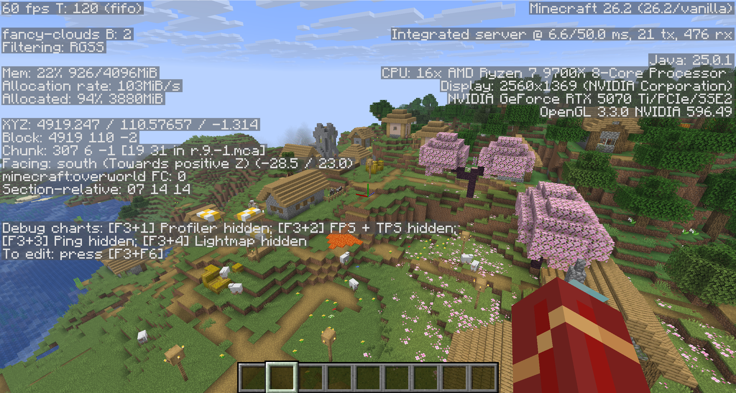 Minecraft Java F3 coordinate display
